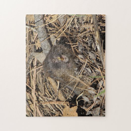 Pocket Gopher Legpuzzel (Verticaal)