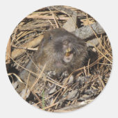 Pocket Gopher Ronde Sticker (Voorkant)