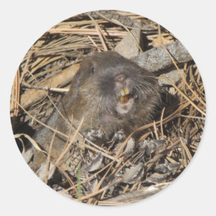 Pocket Gopher Ronde Sticker