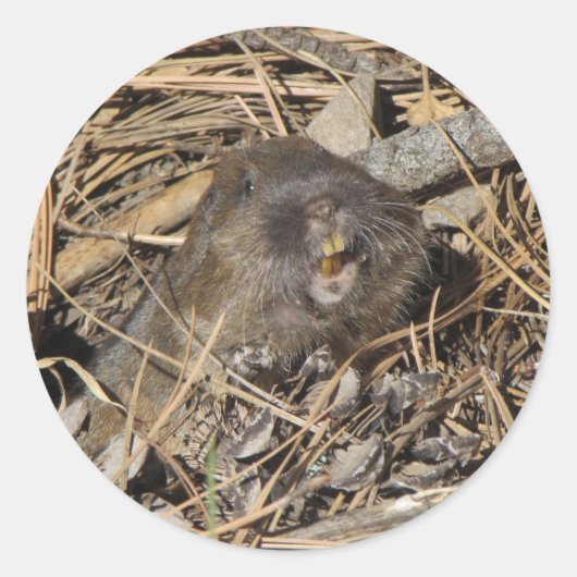 Pocket Gopher Ronde Sticker (Voorkant)