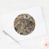 Pocket Gopher Ronde Sticker (Envelop)