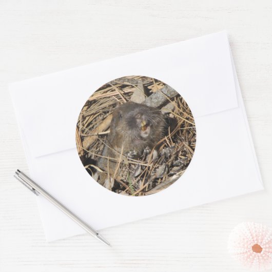 Pocket Gopher Ronde Sticker (Envelop)