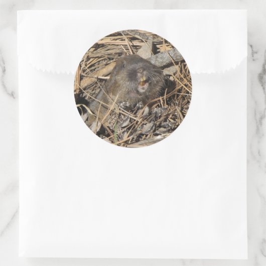 Pocket Gopher Ronde Sticker (Tas)