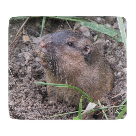 Pocket Gopher Snijplank (Voorkant)