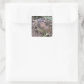 Pocket Gopher Vierkante Sticker (Tas)