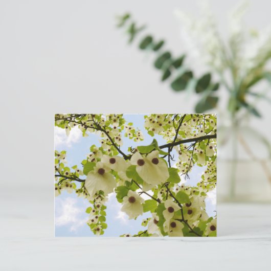 Pocket Handkerchief Tree Blossom Briefkaart (Staand voorkant)