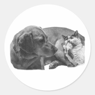 Pocket Pals – Zachte blik Ronde Sticker