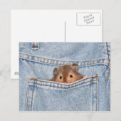 Pocket pet briefkaart (Voorkant / Achterkant)