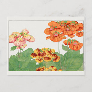 Pocketbook-plant van Tanigami Konan Briefkaart