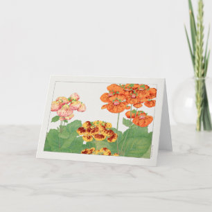 Pocketbook-plant van Tanigami Konan Kaart