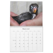 Pocky de meest ruige vezelvogel kalender (Mar 2027)