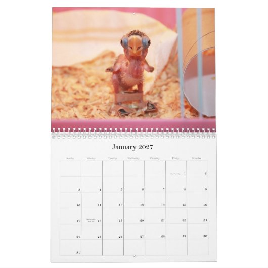 Pocky de meest ruige vezelvogel kalender (Jan 2027)