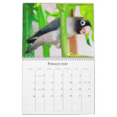 Pocky lovebird weet het niet kalender (Feb 2026)