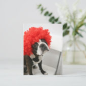 Pocky Postcards Briefkaart (Staand voorkant)