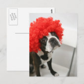 Pocky Postcards Briefkaart (Voorkant / Achterkant)