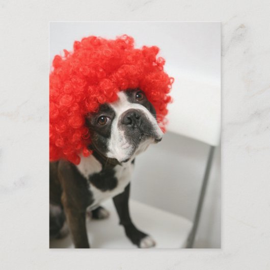 Pocky Postcards Briefkaart (Voorkant)