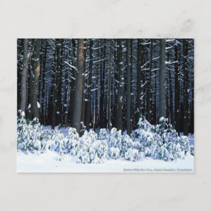 Pocono-bergen. Pennsylvania Briefkaart