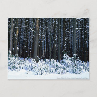 Pocono-bergen. Pennsylvania Briefkaart