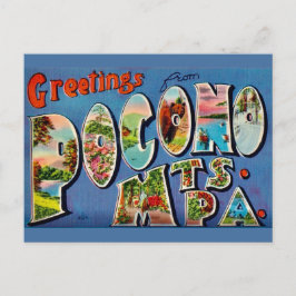 Pocono Mountains Vintage Ansichtkaart Briefkaart
