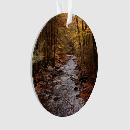 Pocono Stream in het najaar Ornament (voorkant)