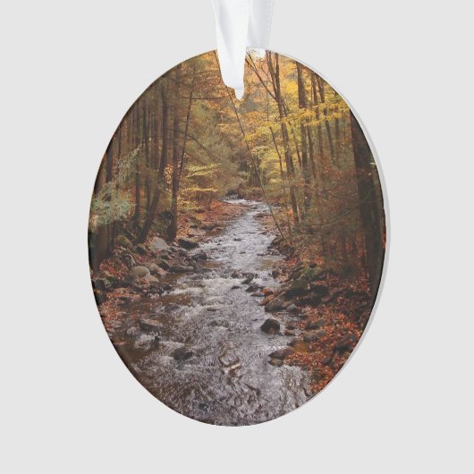 Pocono Stream in het najaar Ornament (voorkant)