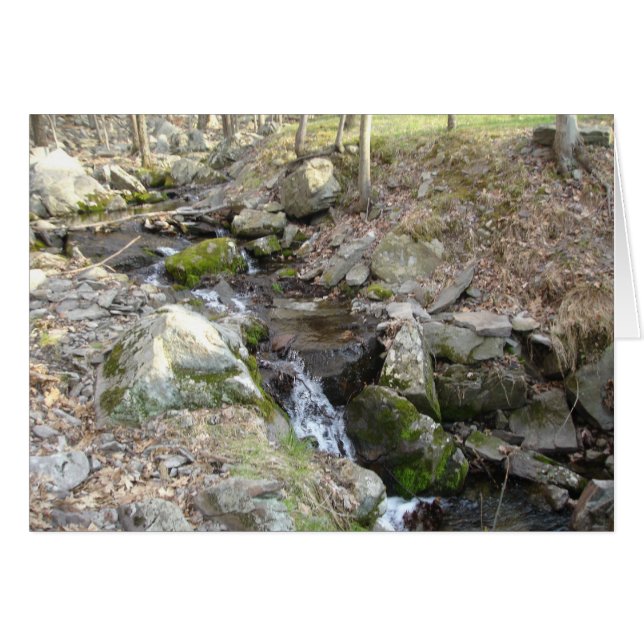 Poconos Pennsylvania (Voorkant Horizontaal)