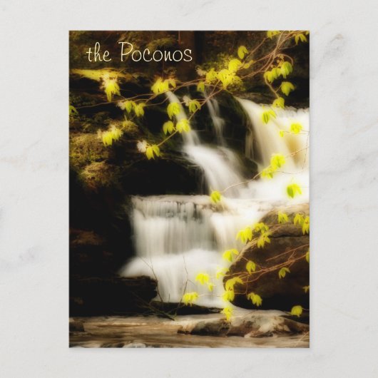 Poconos Springtime Watervalscène Briefkaart (Voorkant)