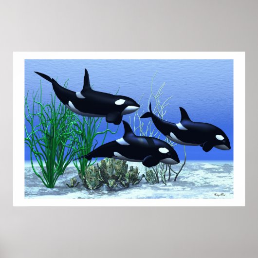 POD AFDRUKKEN POSTER (Voorkant)