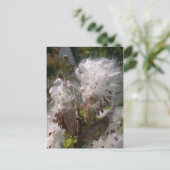 Pod Briefkaart (Staand voorkant)