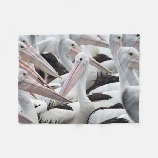 Pod Pelicans Fleece Deken (Voorkant (Horizontaal))