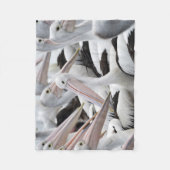Pod Pelicans Fleece Deken (Voorkant)