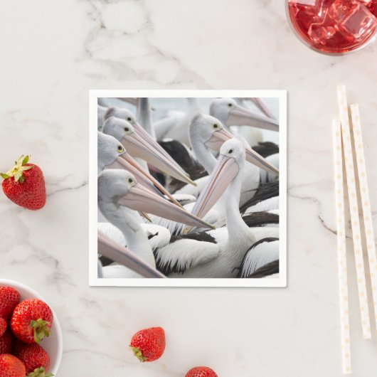Pod Pelicans Servet (Insitu)