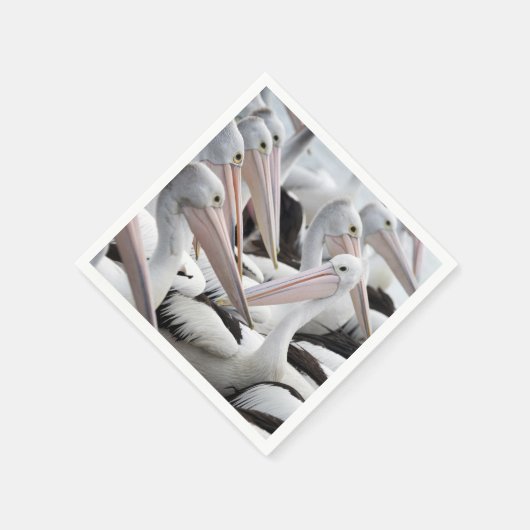 Pod Pelicans Servet (Hoek)