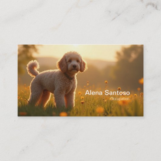 poddelhond visitekaartje (Voorkant)