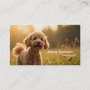 poddelhond visitekaartje