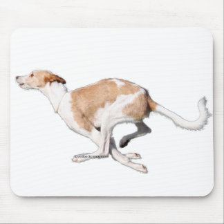 podenco muismat