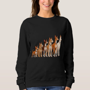 Podenco Opstelling Trui