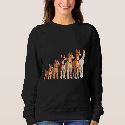 Podenco Opstelling Trui (Voorkant)