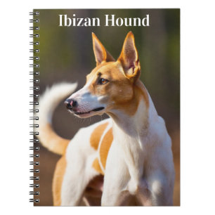 Podenco van Ibiza Notitieboek