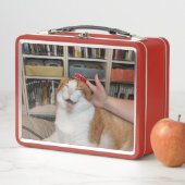 Podgy Scarlett (In situ)