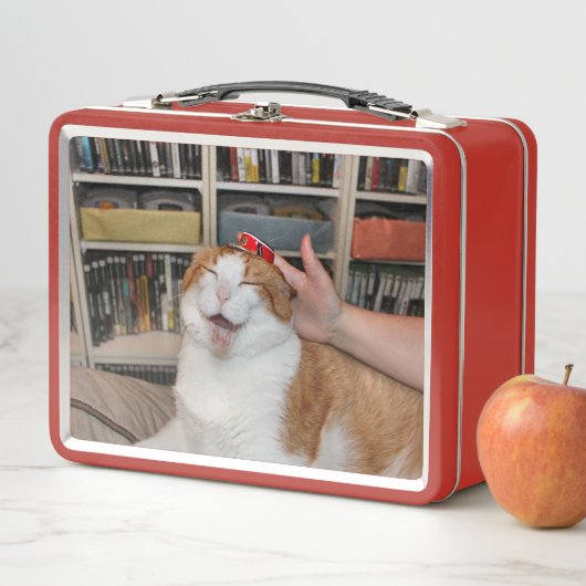 Podgy Scarlett (In situ)