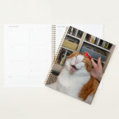 Podgy Scarlett Planner (Display)