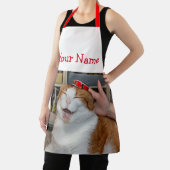 Podgy Scarlett Schort (Insitu)