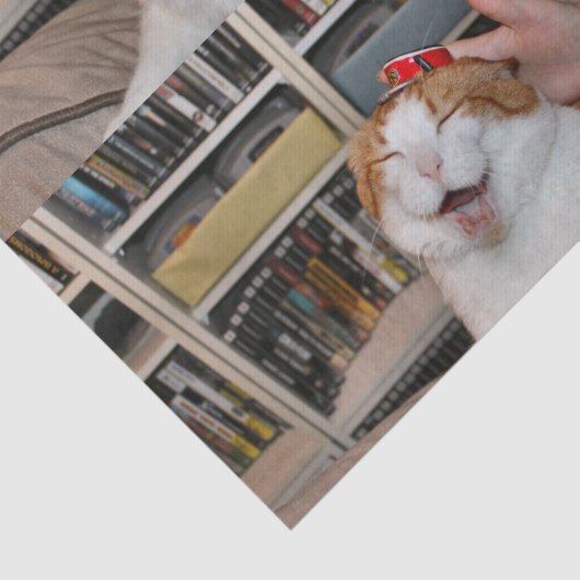 Podgy Scarlett Wrapping Paper Tissuepapier (Detail)