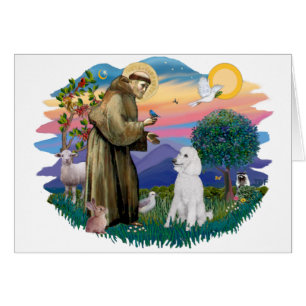 Podium (standaard wit)