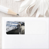 Podle by the Snow Etiket (Insitu)