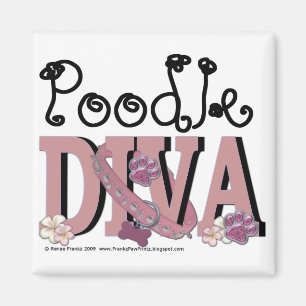 Podle DIVA Magneet
