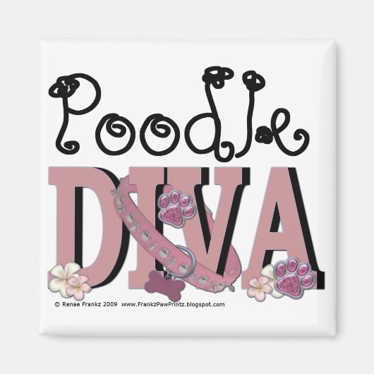 Podle DIVA Magneet (Voorkant)