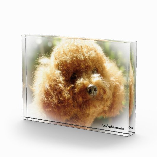 Podle Dog. Fotoblokken (Rechts)