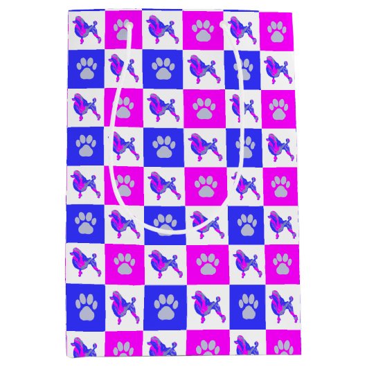 Podle Dog & Paw Crazy Hot Pink & Blue Medium Cadeauzakje (Voorkant)